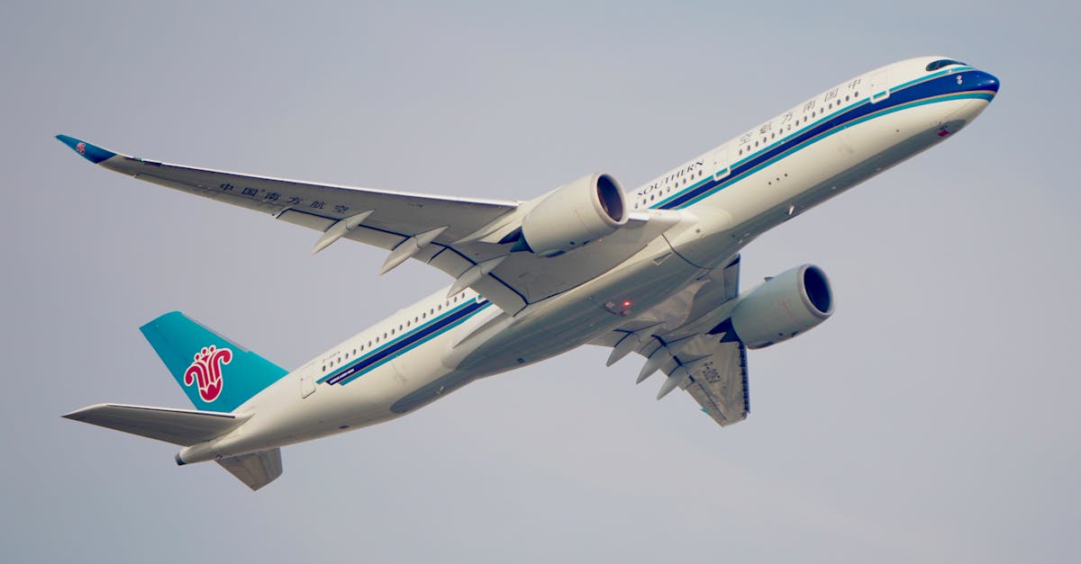 Comparing Shared Shuttle Services to Private Transfers