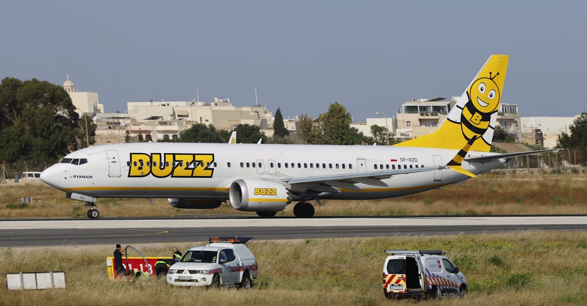 Snacks and Hydration: Essentials for Your Transfer