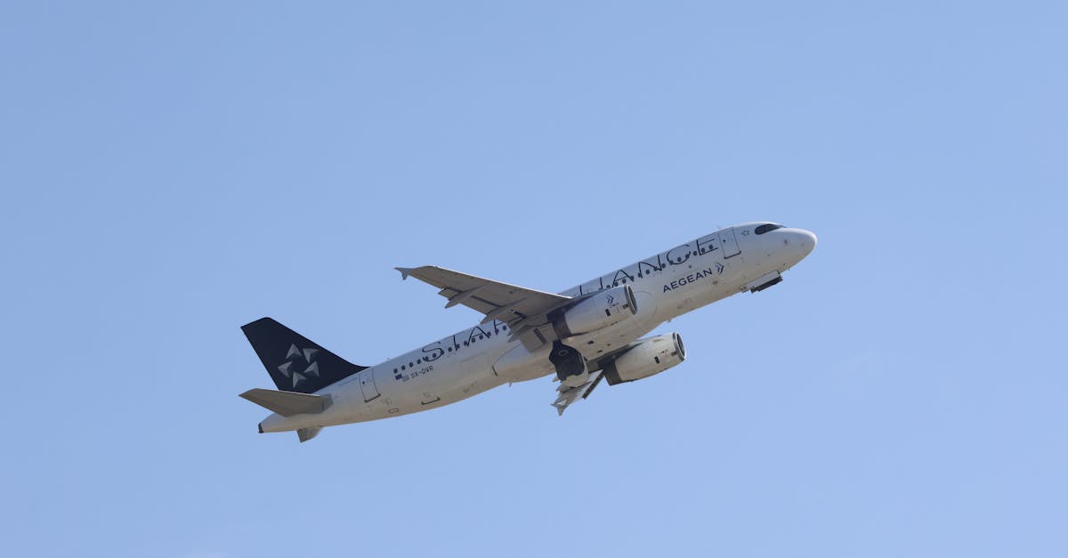 The Role of Shared Shuttle Services in Sustainable Travel