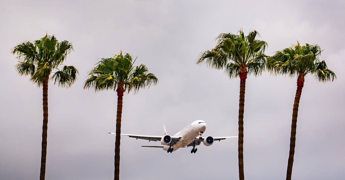 What to Do If You Don't Receive Your Confirmation for Heraklion Transfers