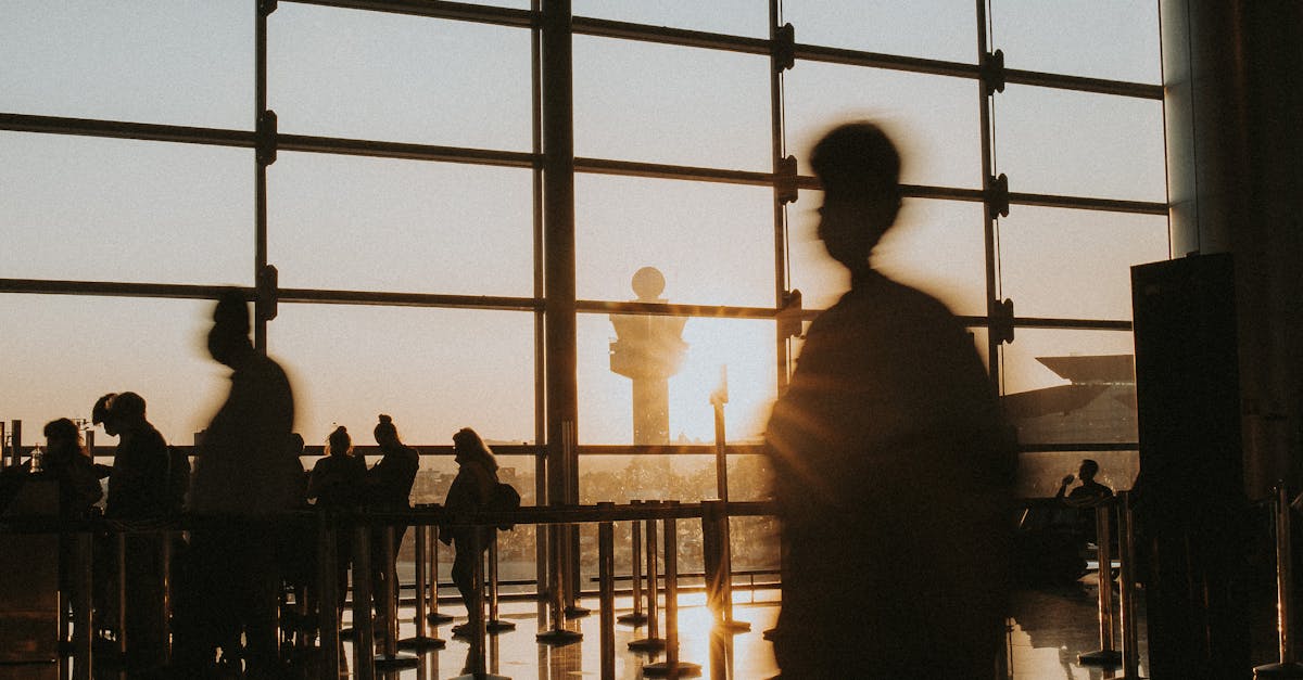 What to Expect During Your Minibus Transfer