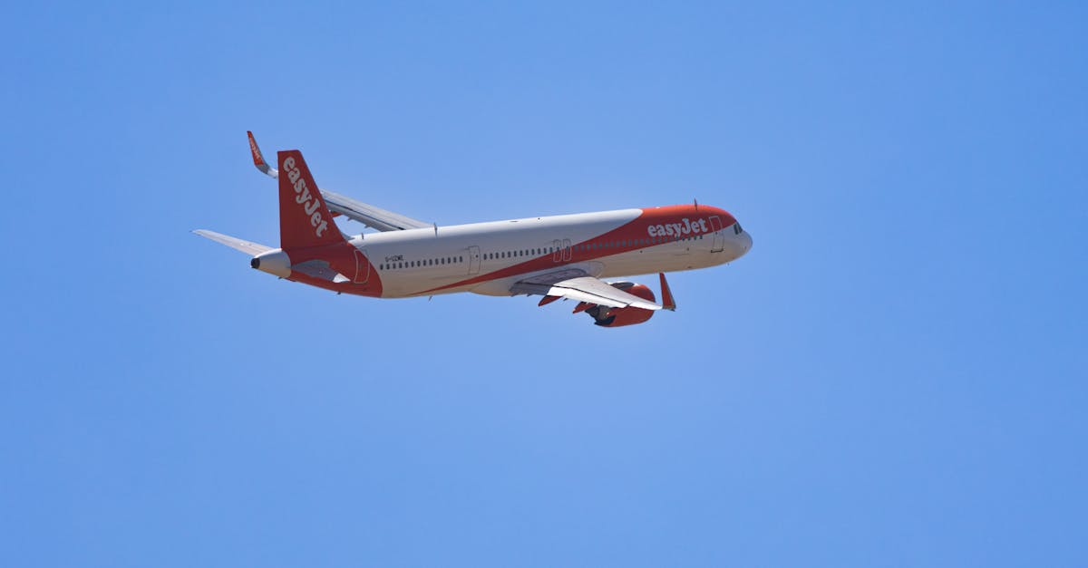 What to Expect During Your Private Transfer Experience