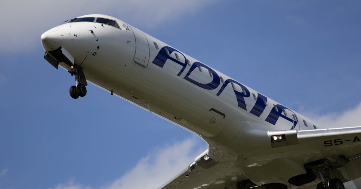 What to Expect When You Contact Support for Airport Transfers